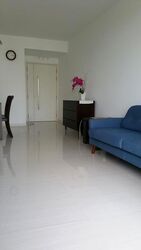 Riversound Residence (D19), Condominium #509256841